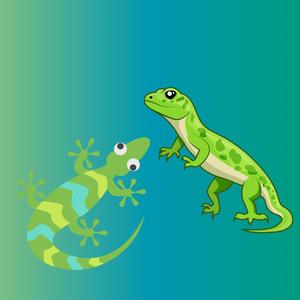 Gekko Team