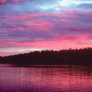 说了再见 (舒缓曲)