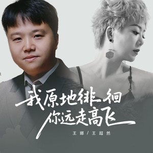 我原地徘徊你远走高飞 (DJ合唱版)
