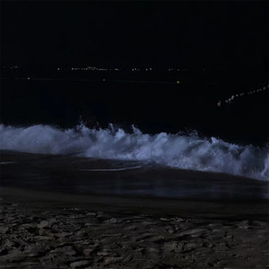 完全符合向日葵的花语