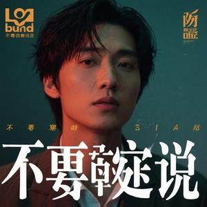 不要再来伤害我 (Remix)