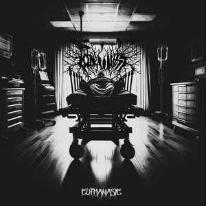 Euthanasie