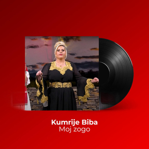 Moj zogo
