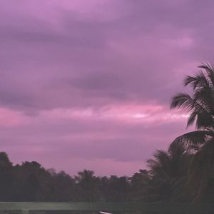 Fleeting Gift