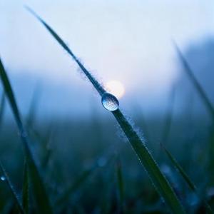 露珠在晨曦前消散 (Cover 鞠婧祎)