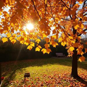 가을비에 스며든 마음
