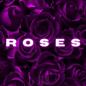 ROSES (Recovery RawM!X)