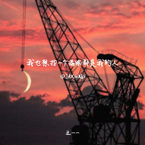 我也想找一个满眼都是我的人 (DJAX1n版)
