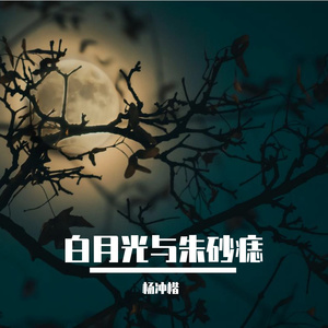 白月光与朱砂痣