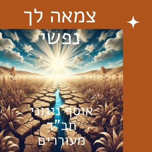 ניגון מרומם לרבי הלל מפאריטש