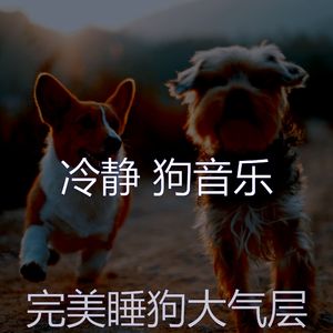温和小狗梦想