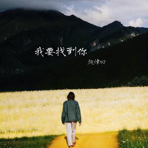 我要找到你 (旋律dj)