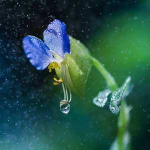 你在我心里下了一场雨