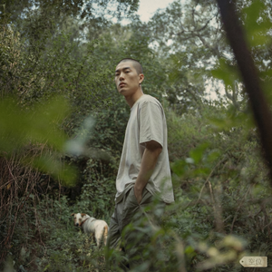 只是又过了一天