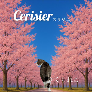 Cerisier スリジエ