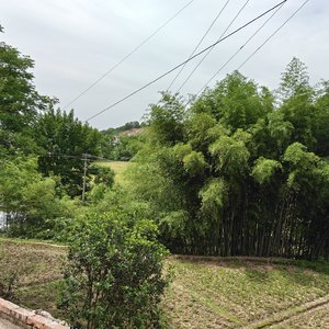 轻抚