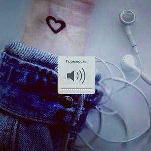 Kaptar bolsam barattim