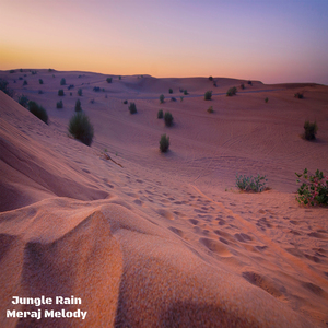 Jungle Rain
