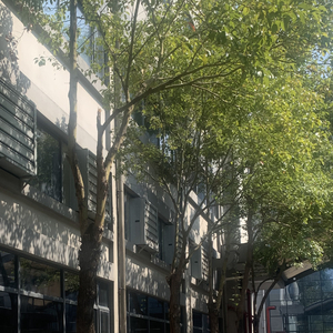 target_26无人知晓的我1473831.wav