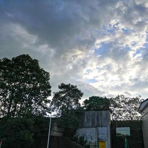 《我在想什么》