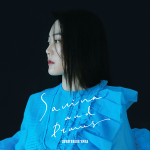 크리스블루스마스