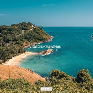 适合正在学习温和的音乐