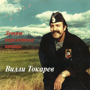 Летят перелетные птицы