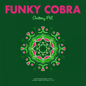 Funky Cobra (Original Mix)