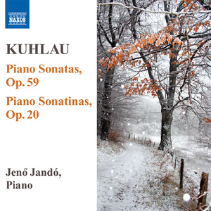 Piano Sonatina in C Major, Op. 20, No. 1:I. Allegro
