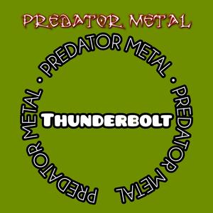 Thunderbolt