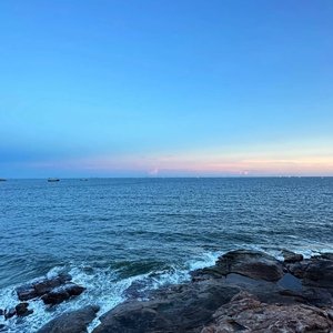 梁绍奇 - 白鸽乌鸦相爱的戏码