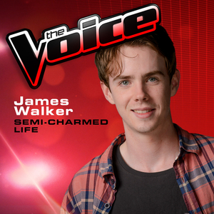 Semi-Charmed Life (The Voice 2013 Perfomance)