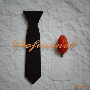 Profesional