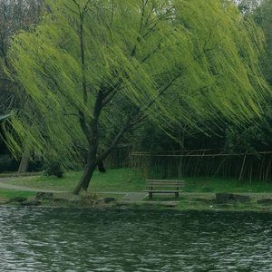 《是青草味的小蛋糕》