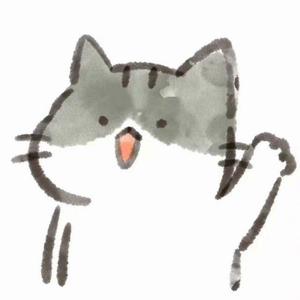 不如不如-抖音最火版