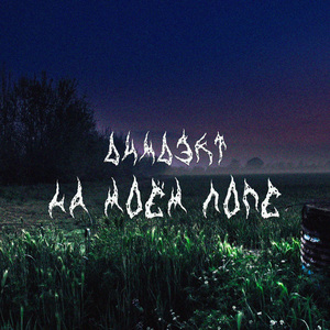 На моём поле