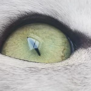 梦寐以求prod by 悟净