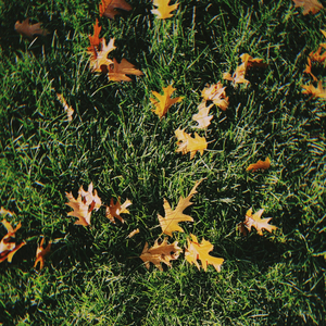 내게로 와요 (feat. 박은지)