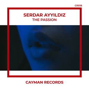 The Passion (Radio Mix)