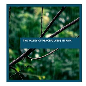 Worthwhile Distant Waterfall