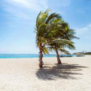 Beneath a Sunkissed Sky