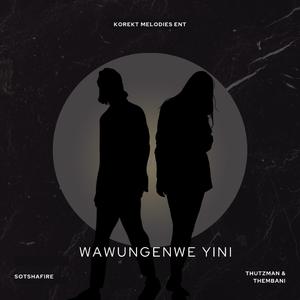 Wawungenwe Yini (feat. Thutzman & Thembani)