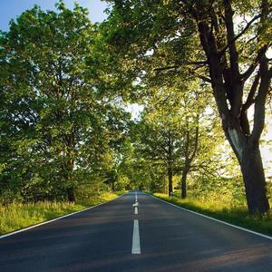 便利店的邂逅与爱恋