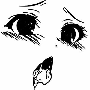 重返2012 之 大爱推荐~[钱婆热单]