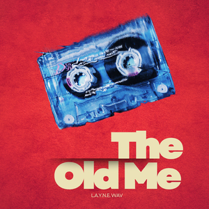 TheOldMe