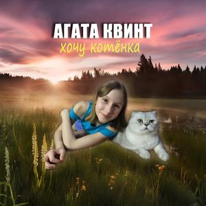 Хочу котёнка