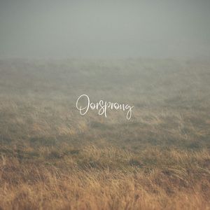 Oorsprong