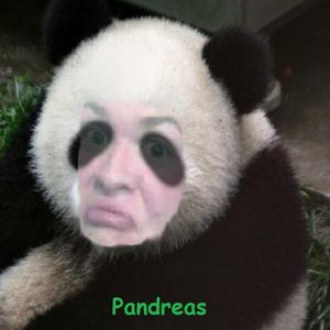 Pandreas