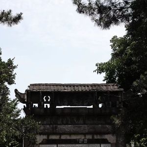 风吹柳（prod.Gr33nartBeats）