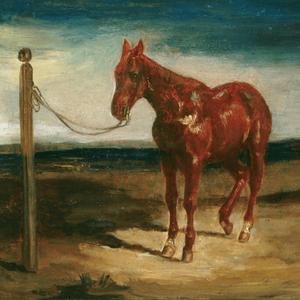 A Robin Flew Past Me